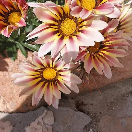 Ingeborg بيت ضيافة